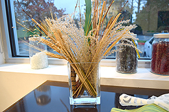 LUMICOR HOLIDAY OPEN HOUSE